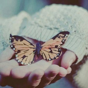 欧美性交大片乱伦
